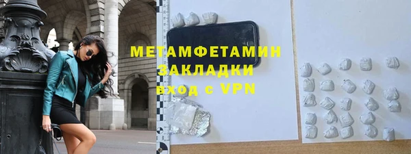 индика Медвежьегорск