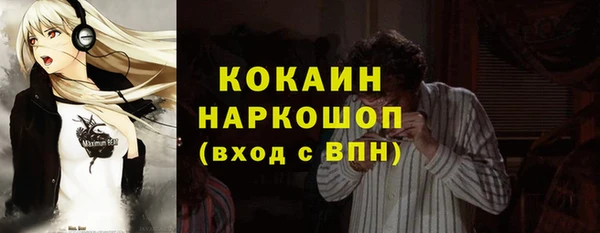 индика Медвежьегорск