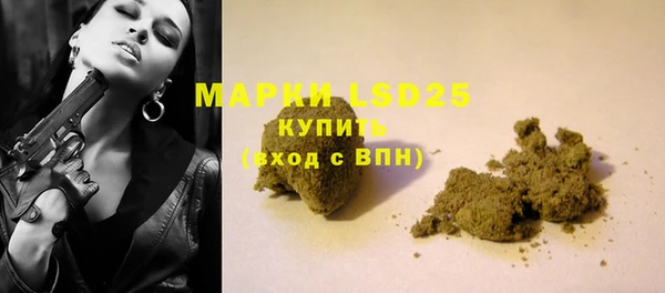 индика Медвежьегорск