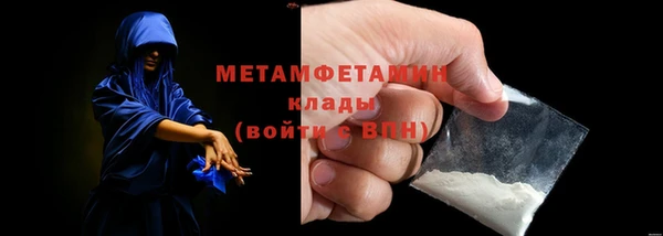 индика Медвежьегорск