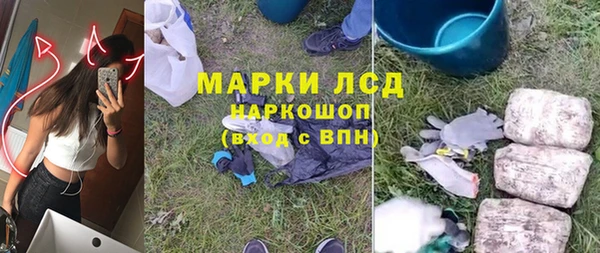 индика Медвежьегорск
