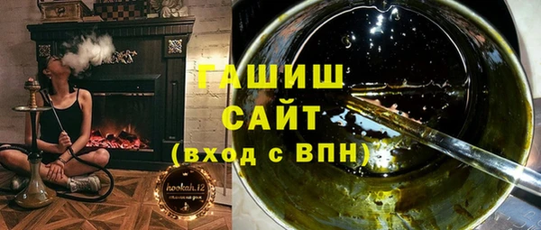 индика Медвежьегорск