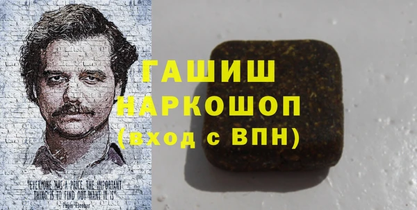 индика Медвежьегорск