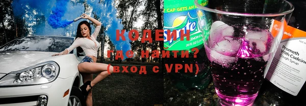 индика Медвежьегорск