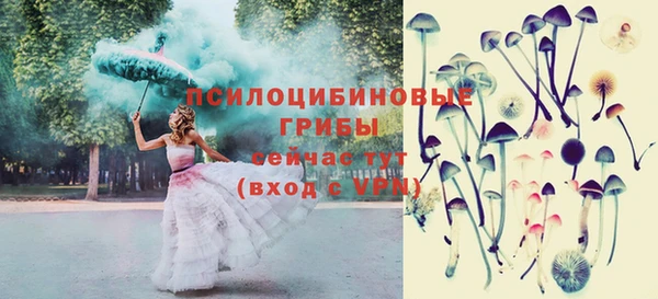 индика Медвежьегорск