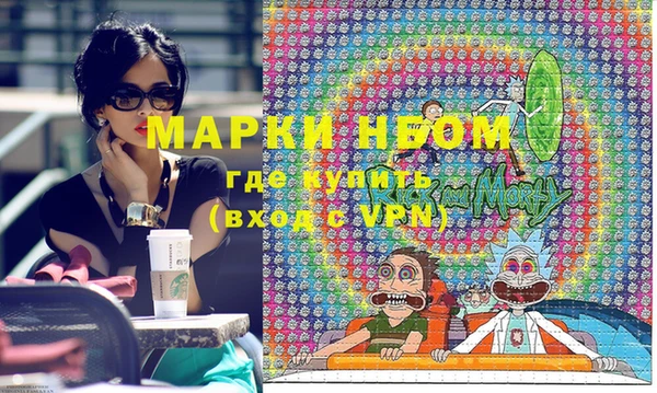 индика Медвежьегорск
