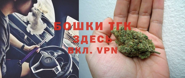 индика Медвежьегорск