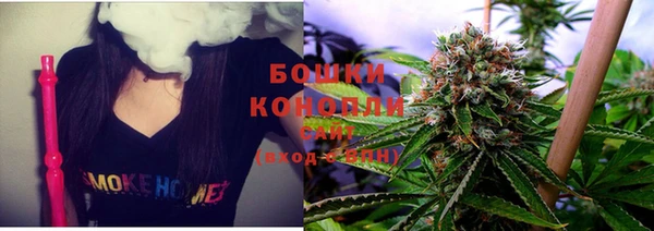 индика Медвежьегорск