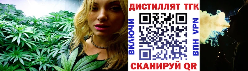 Купить где  Николаевск  ТГК концентрат 