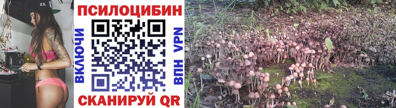 Купить где  Николаевск  Псилоцибиновые грибы GOLDEN TEACHER 